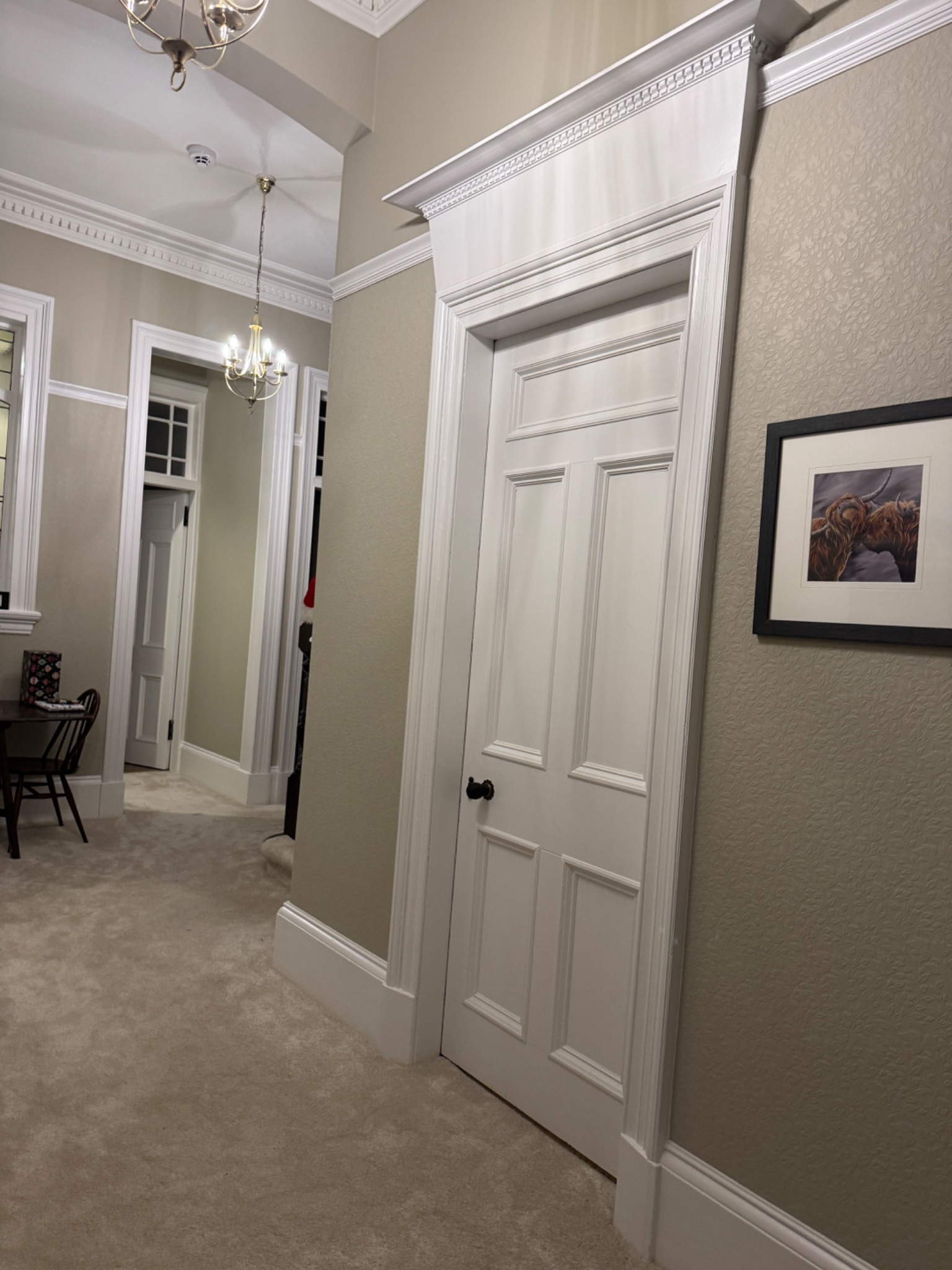 White panelled internal door above a carpeted hallway floor