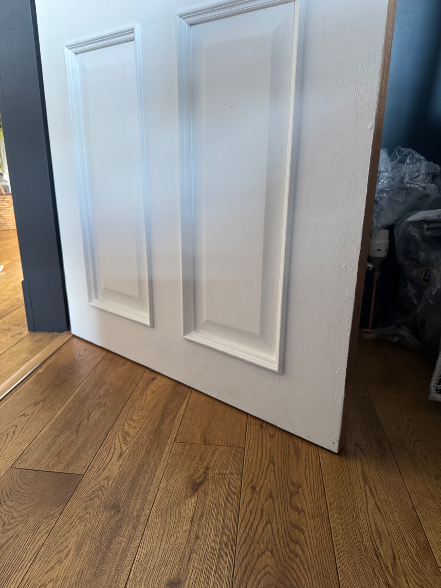 Bottom edge of a white panelled door above timber flooring